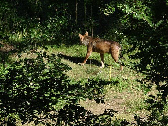 Centro Visita di Civitella Alfedena