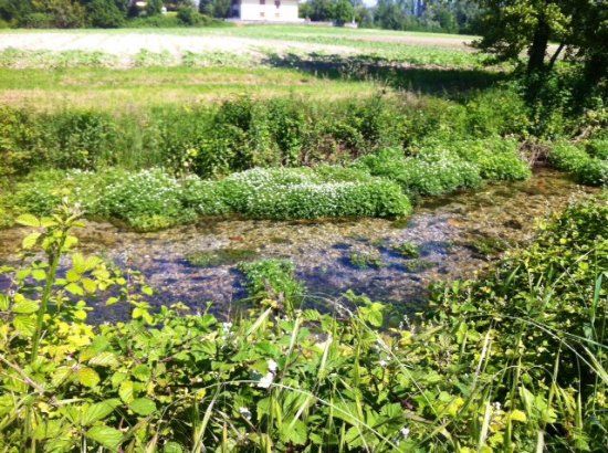 Area Naturalistica I Tre Scalini del Diavol