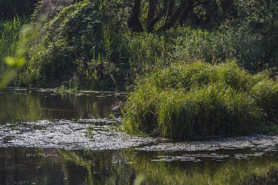 Sentiero della Lanca Di Bernate