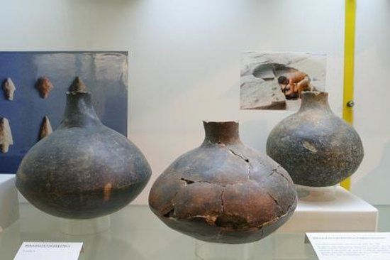 Museo di Preistoria e Protostoria della Valle del Fiora