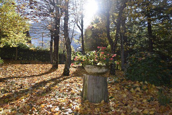 Comune di Montecreto