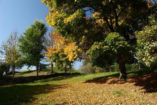 Torre "De li beli miri"