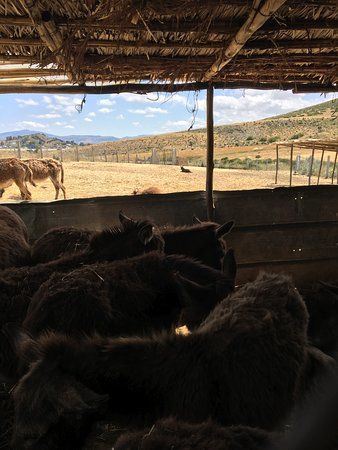 SFT - Tangier Wildlife Sanctuary