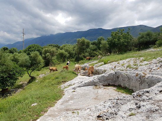Orikum Archaeological Park