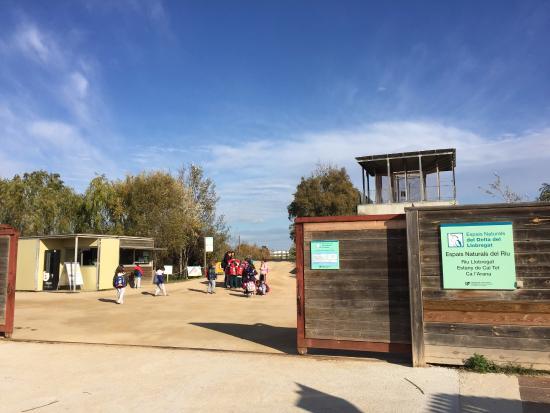 El delta del Llobregat