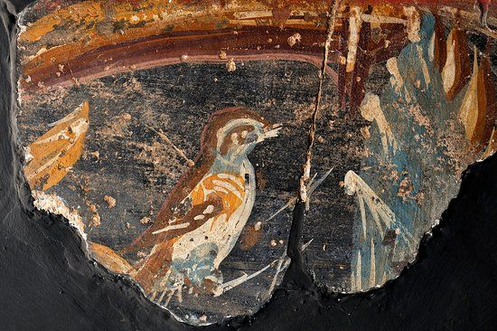 Museo Casa de la Fortuna