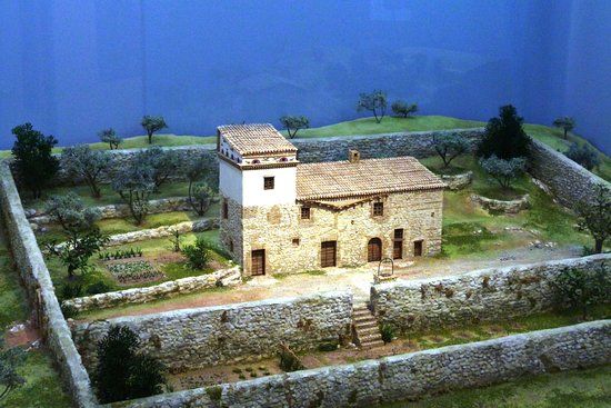 Museo della Civiltà dell'Ulivo