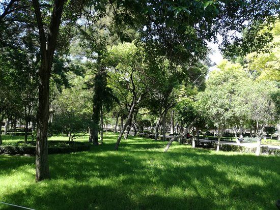 Parco Alameda Hidalgo