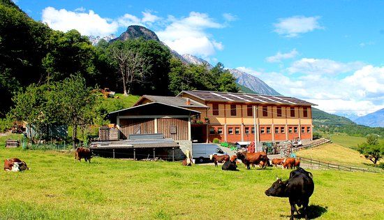 Azienda Agricola Lo Copafen