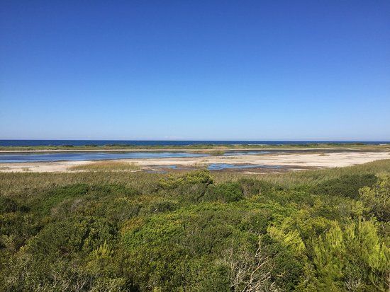 Riserva naturale Le Cesine