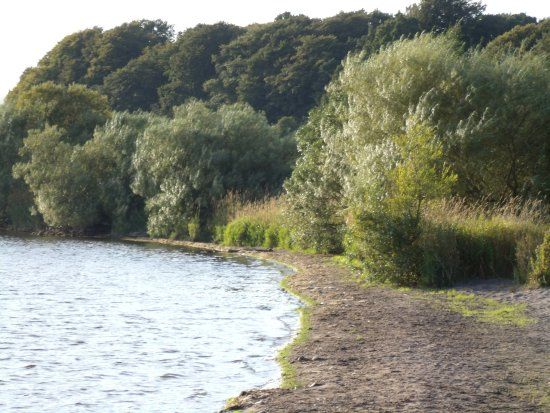 Loch Leven National Nature Reserve