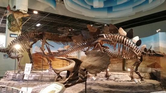 Museo Nazionale della Scienza di Gwacheon