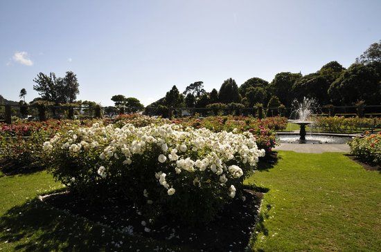 Giardini botanici
