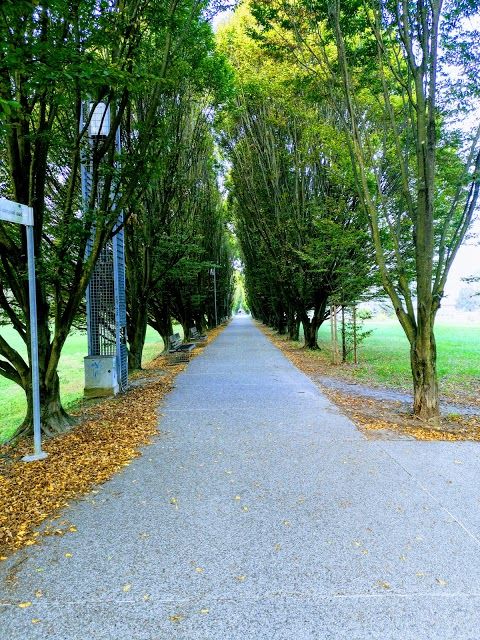 Parco Alfredo Albanese