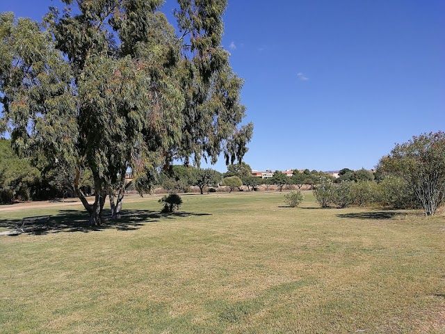 Parco Molentargius