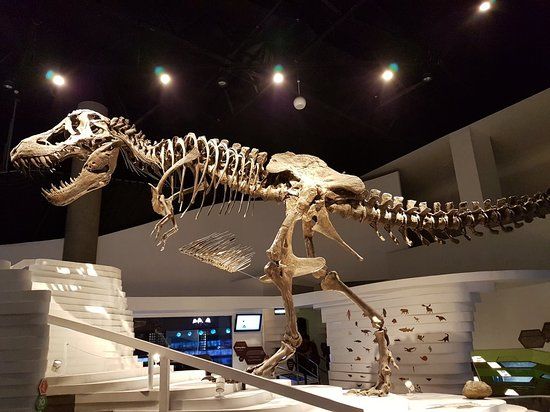 Museo della mente a Taguig