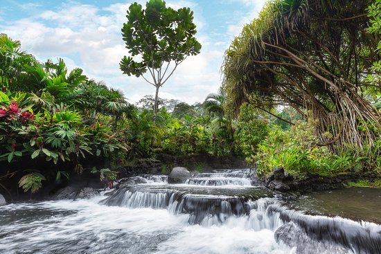 Sorgenti termali di Tabacon