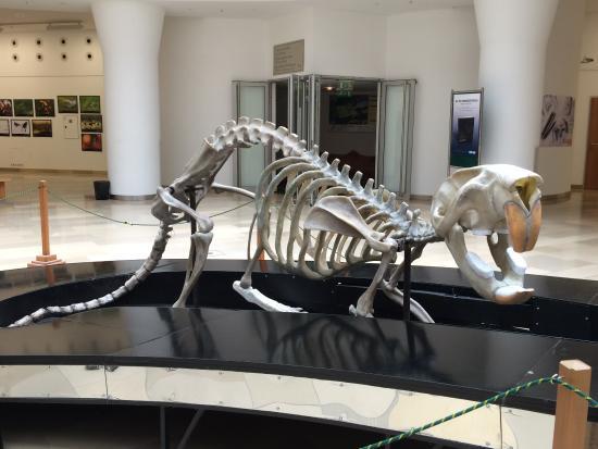 Museo Ungherese di Storia Naturale