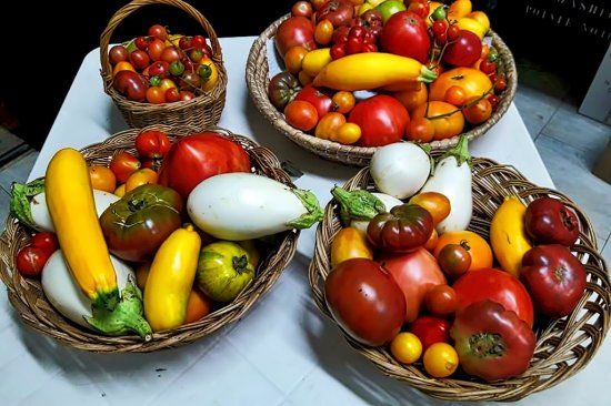 Azienda Agricola Mercuri Francesca