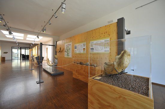 Museo geopaleontologico Alto Aventino
