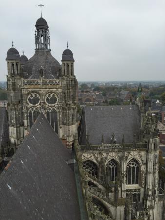 Cattedrale di 's-Hertogenbosch