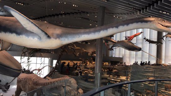 Museo di Storia Naturale di Shanghai