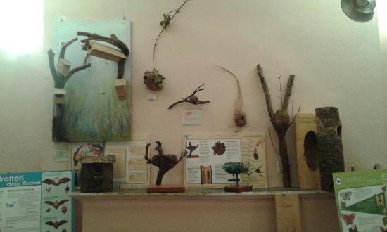 Casa natale di Vincenzo Monti