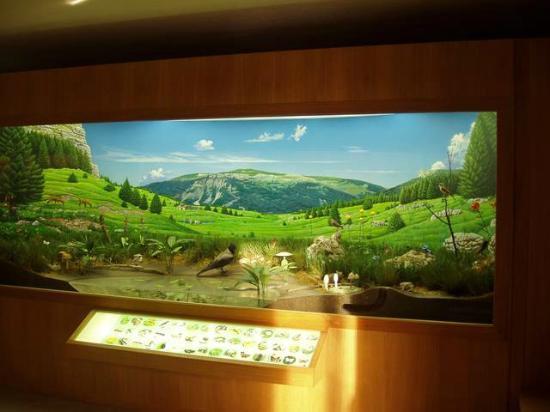 Museo Naturalistico Didattico