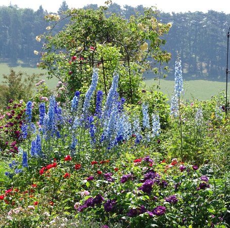 Botanischer Garten der Universität Ulm
