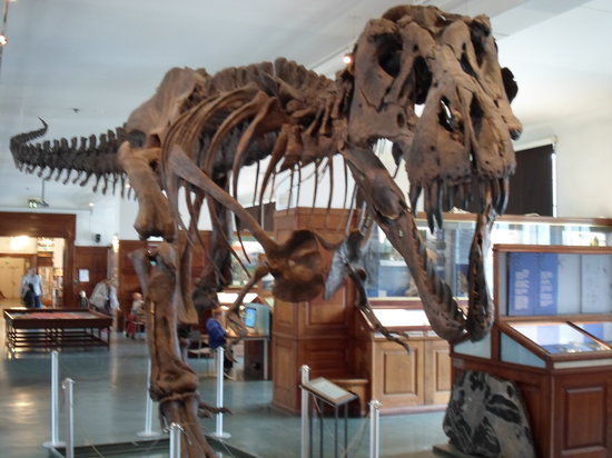 Museo di Storia Nazionale