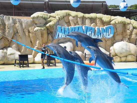 Parco Zoologico Marineland Mallorca