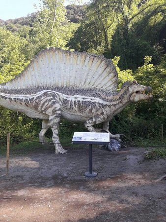 Riserva Naturale Cratere degli Astroni