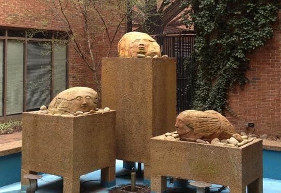 Università Vanderbilt