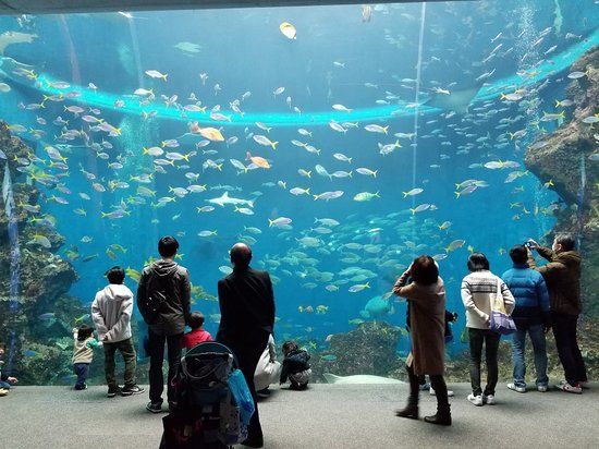 Acquario di Shinagawa