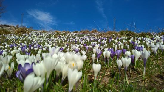 Parco Naturale Regionale della Lessinia