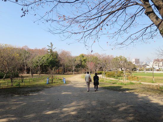 Parco di Umekoji