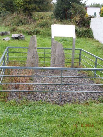 Chute Hall Ogham Stones