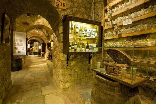 Museo del vino
