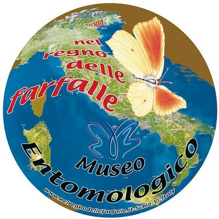 Museo Entomologico nel Regno delle Farfalle