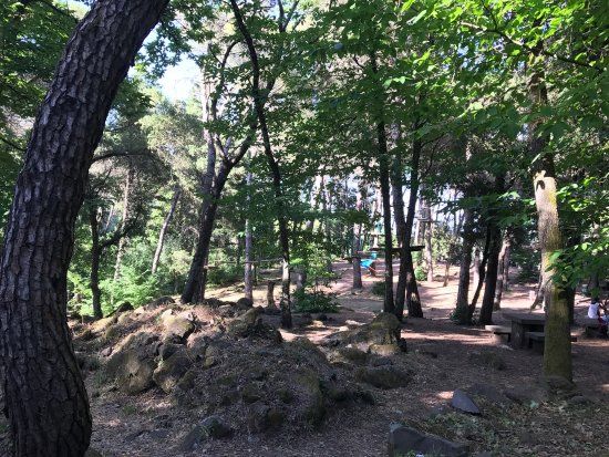 Parco Divertimenti Parcallario