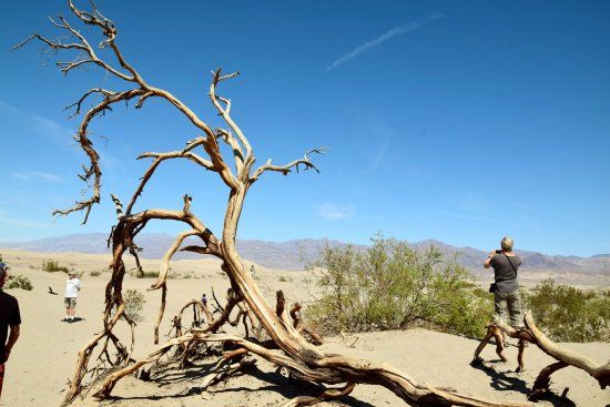 Mesquite Flat Sand Dunes