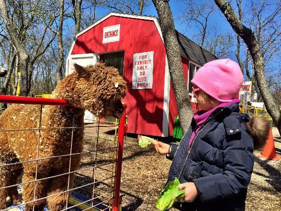 Queens County Farm Museum