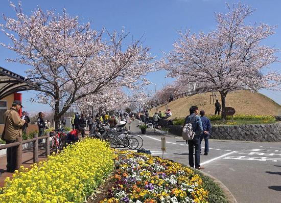 Collina Sakura-no-Yama