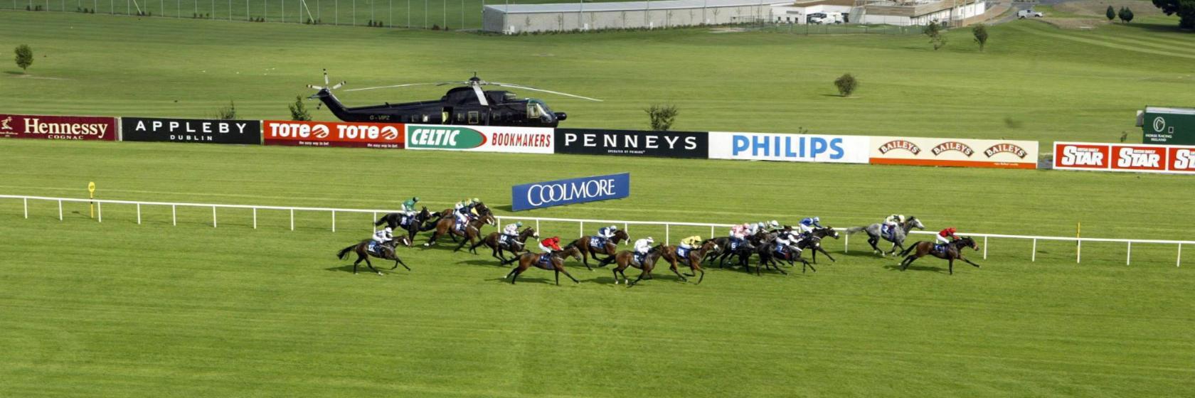 Pista Leopardstown Racecourse