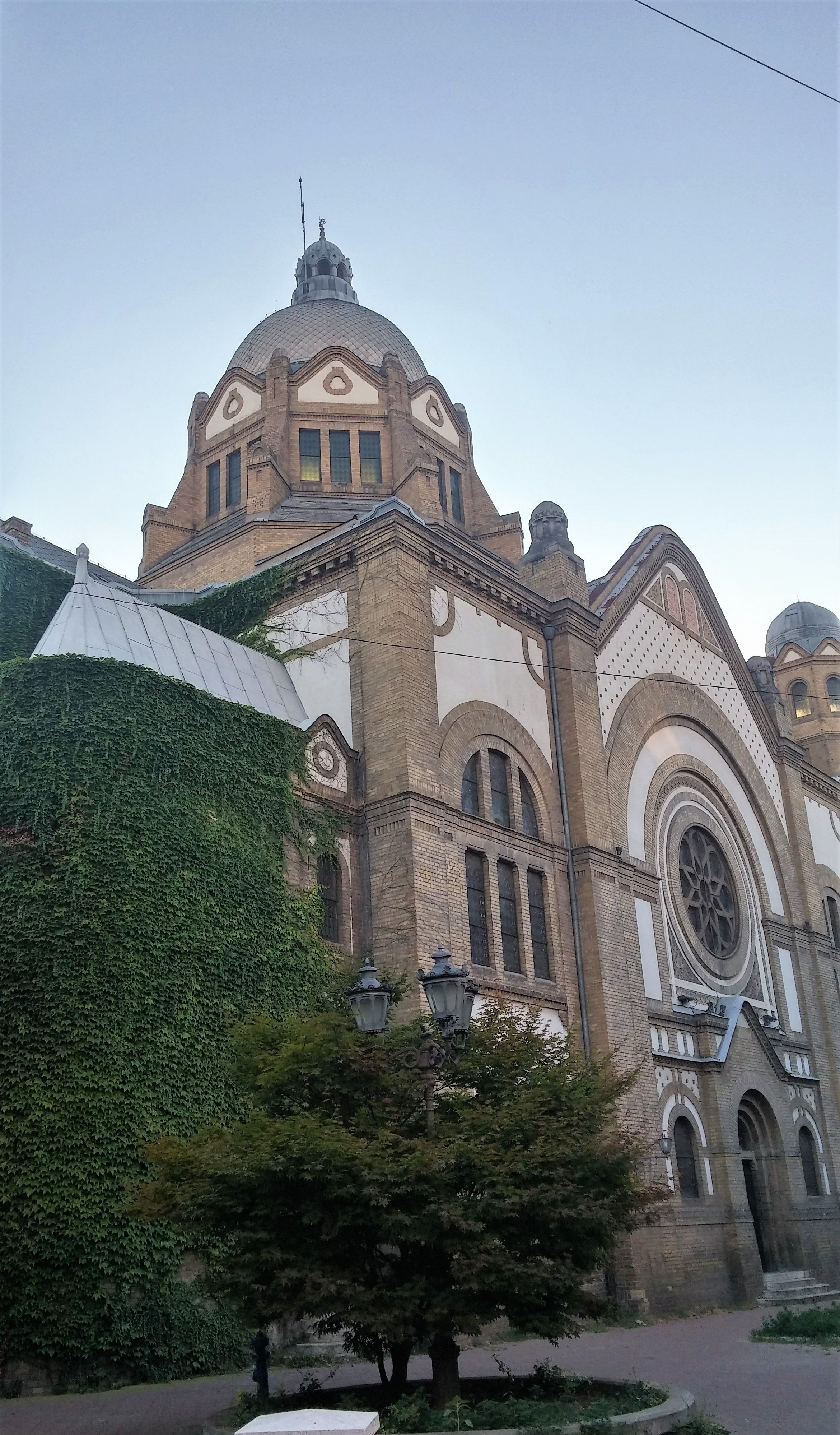 Sinagoga di Novi Sad