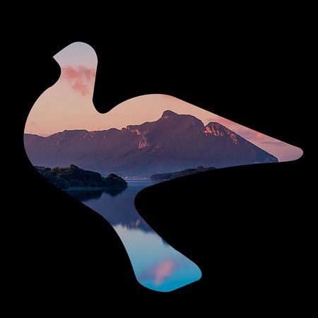 Ristorante La Colomba