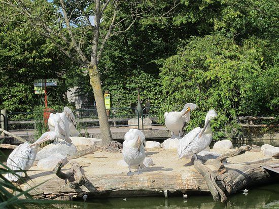 Münster Allwetter Zoo