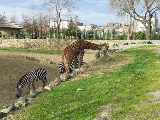 Zoo di Bursa
