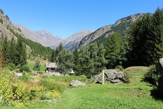 Giardino Botanico Alpino Paradisia