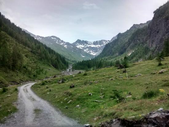 Parco Naturale Val Troncea